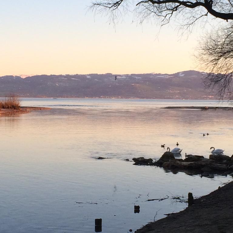 Ferienwohnung Am Bodensee Kressbronn am Bodensee Zewnętrze zdjęcie